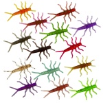 Widelnica / Stonefly Micro 2,8 cm 