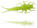 Widelnoca-nowa-C.png